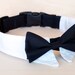 Black Bow Tie and White Shirt Dog Collar