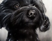 CUSTOM Dog Drawing From your photo - 8x10 -  Realistic Hand drawn fine art - Charcoal portrait - 8x10 - Canine, Puppy, pet portrait