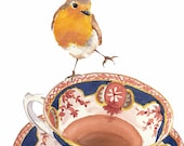 Robin Watercolour PRINT - Teacup Watercolor, Bird Painting, 11x14 Art Print