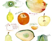 Kitchen art print, Seasonal fruit watercolor poster, Winter fruits, 11X14, Botanical plate, Wall decor illustration