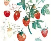 Kitchen art, Fruit print, Strawberry, Watercolor painting, 8X10, Botanical, Home decor, Food poster, red
