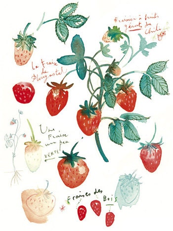 Kitchen art, Fruit print, Strawberry, Watercolor painting, 8X10, Botanical, Home decor, Food poster, red