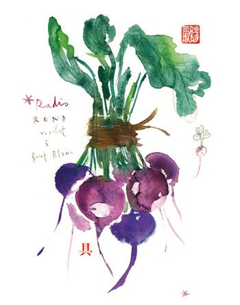 Kitchen art, Radish print, Watercolor painting, Vegetable poster, 8X10, Botanical, Purple, Home decor, Food artwork