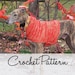 Instant Download - PDF Crochet Pattern for Greyhound Vest