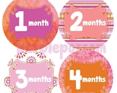 Monthly Onesie Stickers Baby Month Stickers Baby Girl Stickers Monthly Onesie Stickers Baby Shower Gift Photo Prop Milestone Stickers