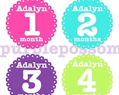 SALE Baby Month Stickers Baby Add Name Monthly Baby Onesie Stickers Monthly Onesie Sticker Girl Baby Shower Gift Photo Prop Baby Milestone