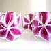 Stargazer Lily Glasses- Set of 4