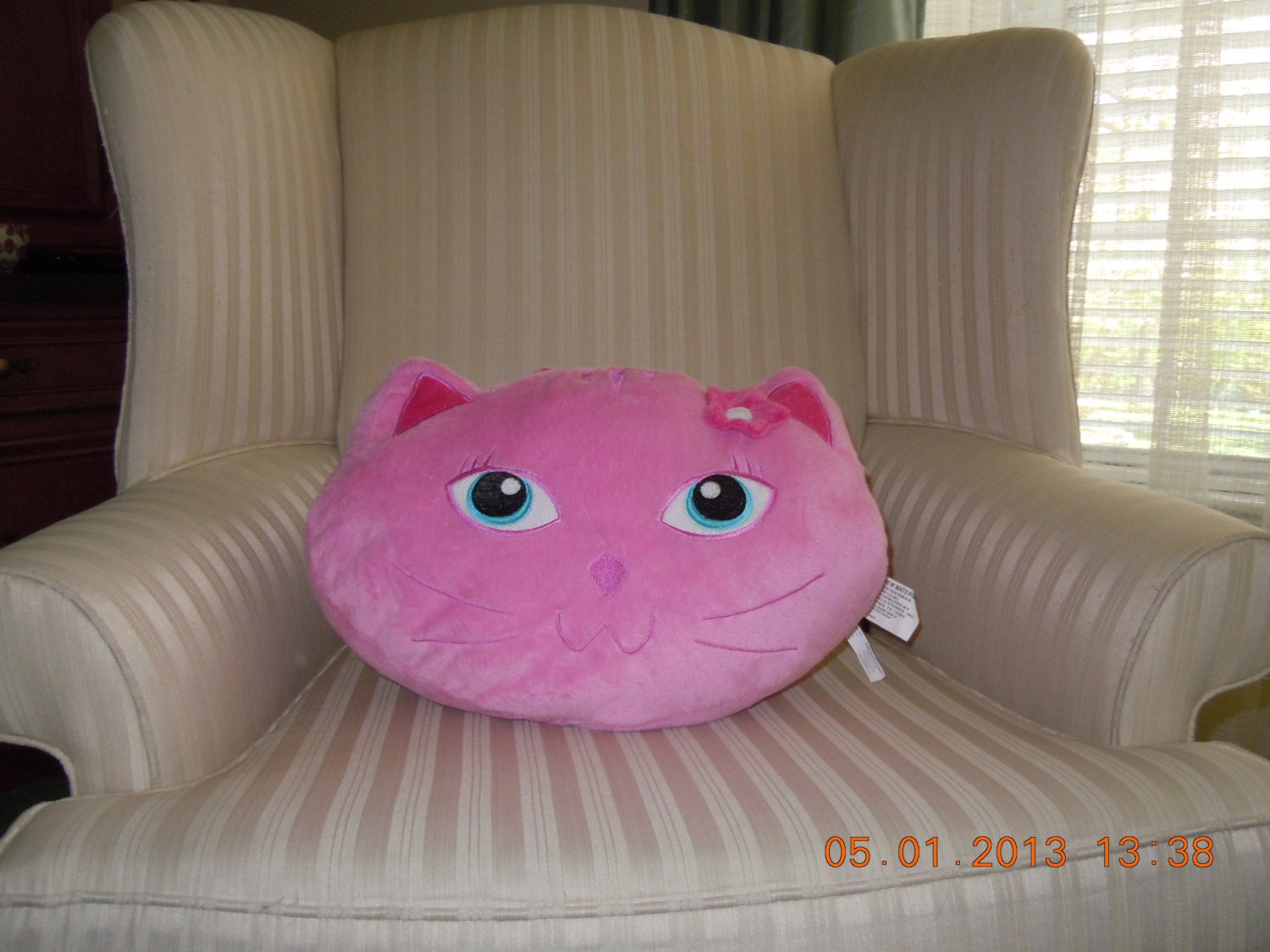 Kitty Cat pillow and blanket