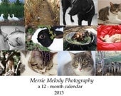 2013 12- Month Animal Wall Hanging Calendar