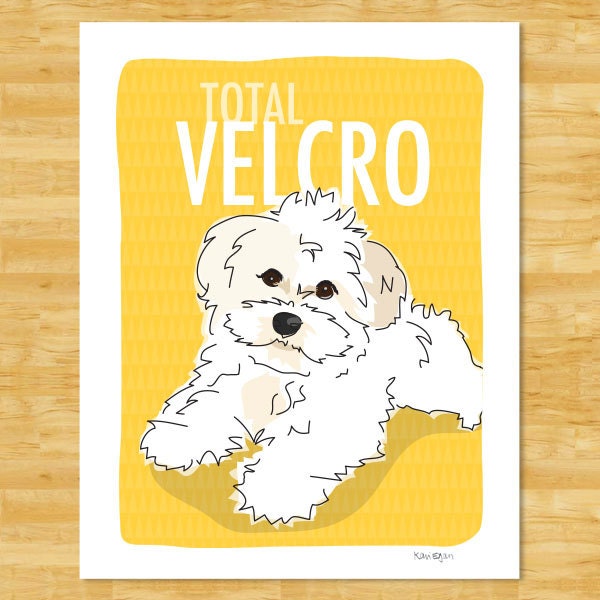 Havanese Print 5x7 Dog Art - Total Velcro - White Havanese