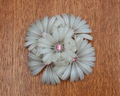 Vintage Plastic/Ruber White "Daisies" Brooch W/ Pink Rhinestones