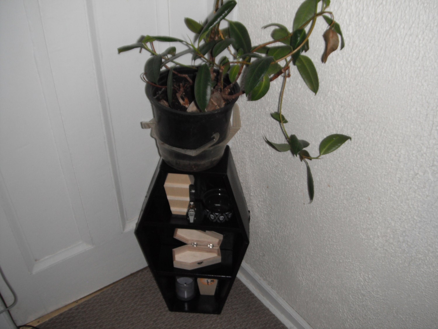 Coffin Shelves