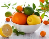 6 Tropical Citrus Tango Scented Candle Tarts Wax Melts 6oz
