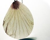 White Hibiskus Necklace - Real Flower Necklace - XXL - White with Burgundy - Real Pressed Petal
