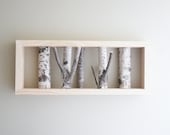 natural white birch forest wall art