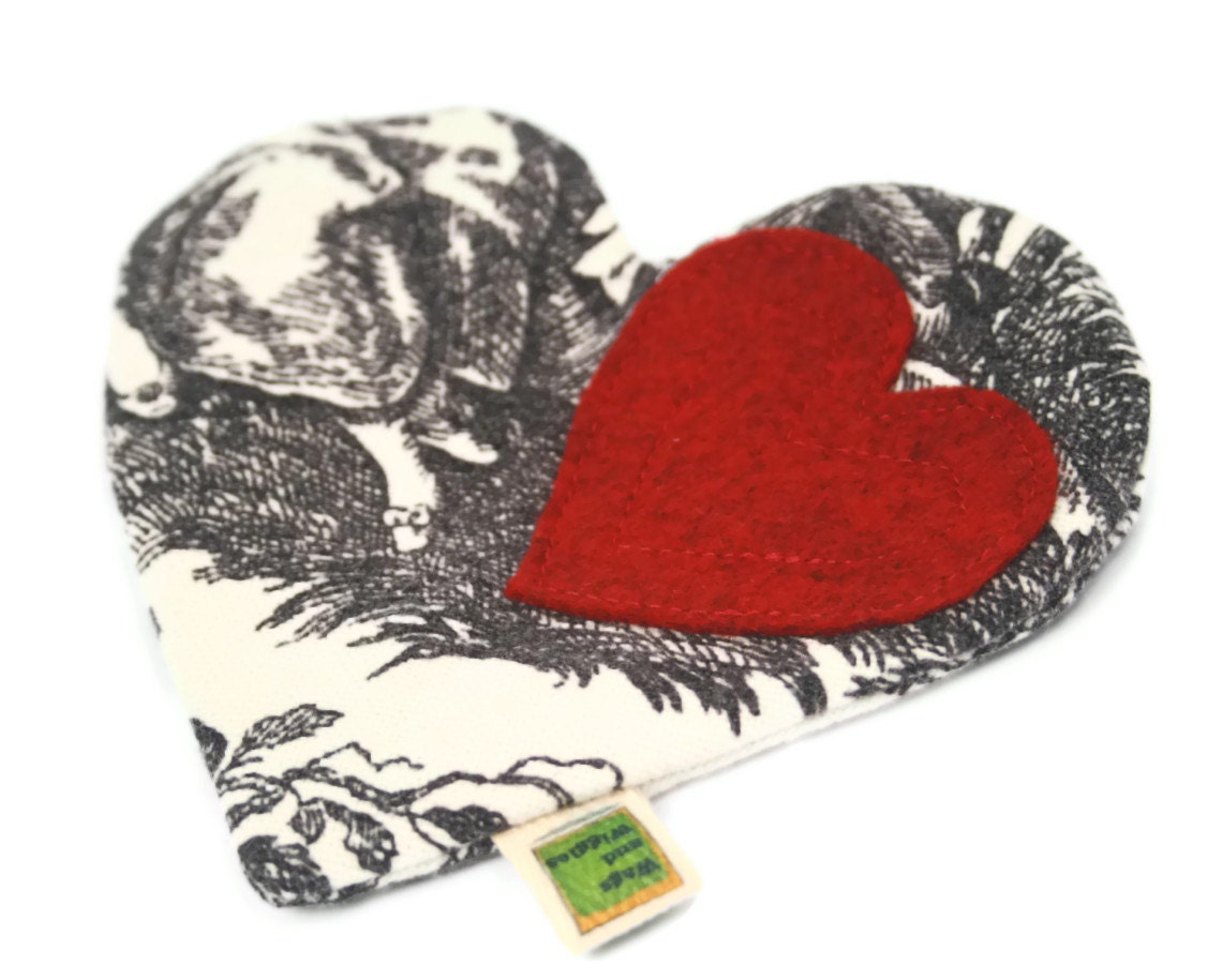 No Stuffing and No Squeaker Dog Toy Valentine All My Heart