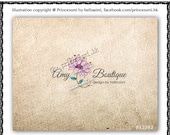 Custom Premade Logo Design - sketch hand drawn floral flower frame logo photography business logo boutique by princess mi logo1238-2