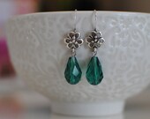 Crystal Earrings