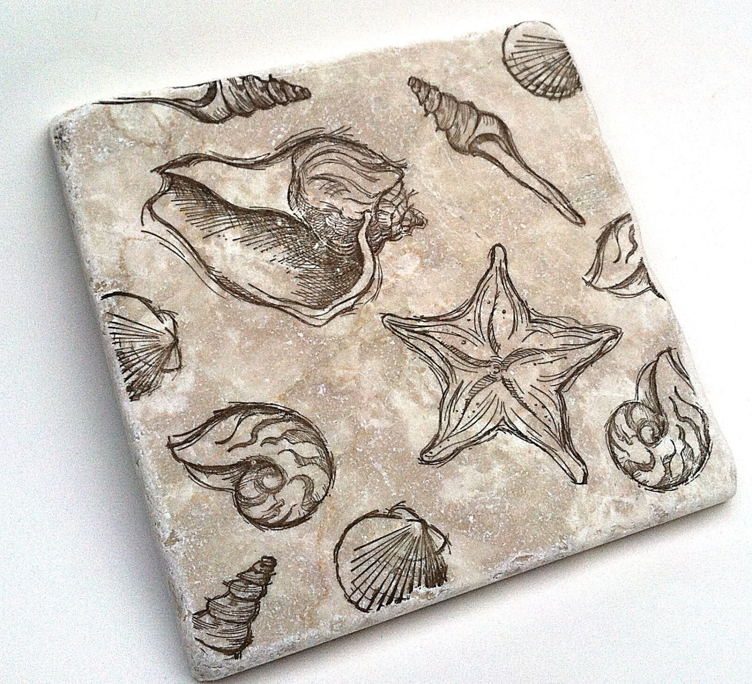 Shell Trivet