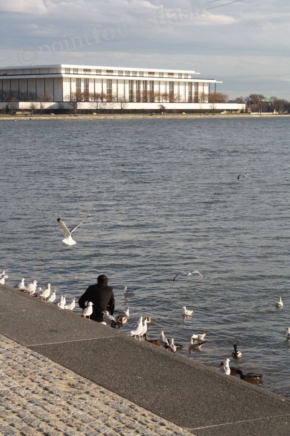 Georgetown Waterfront 5X7 Photo With 8X10 Mat