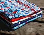 FQ Bundle of Beachwood Park from Jenean Morrison's Collection for FreeSpirit