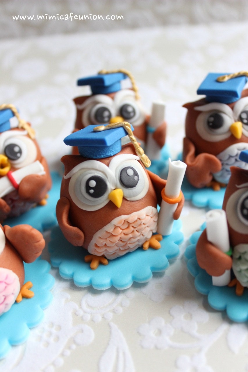 Owl Graduation Theme Cupcake Toppers ( 6 Owls, 1 Message Plate)