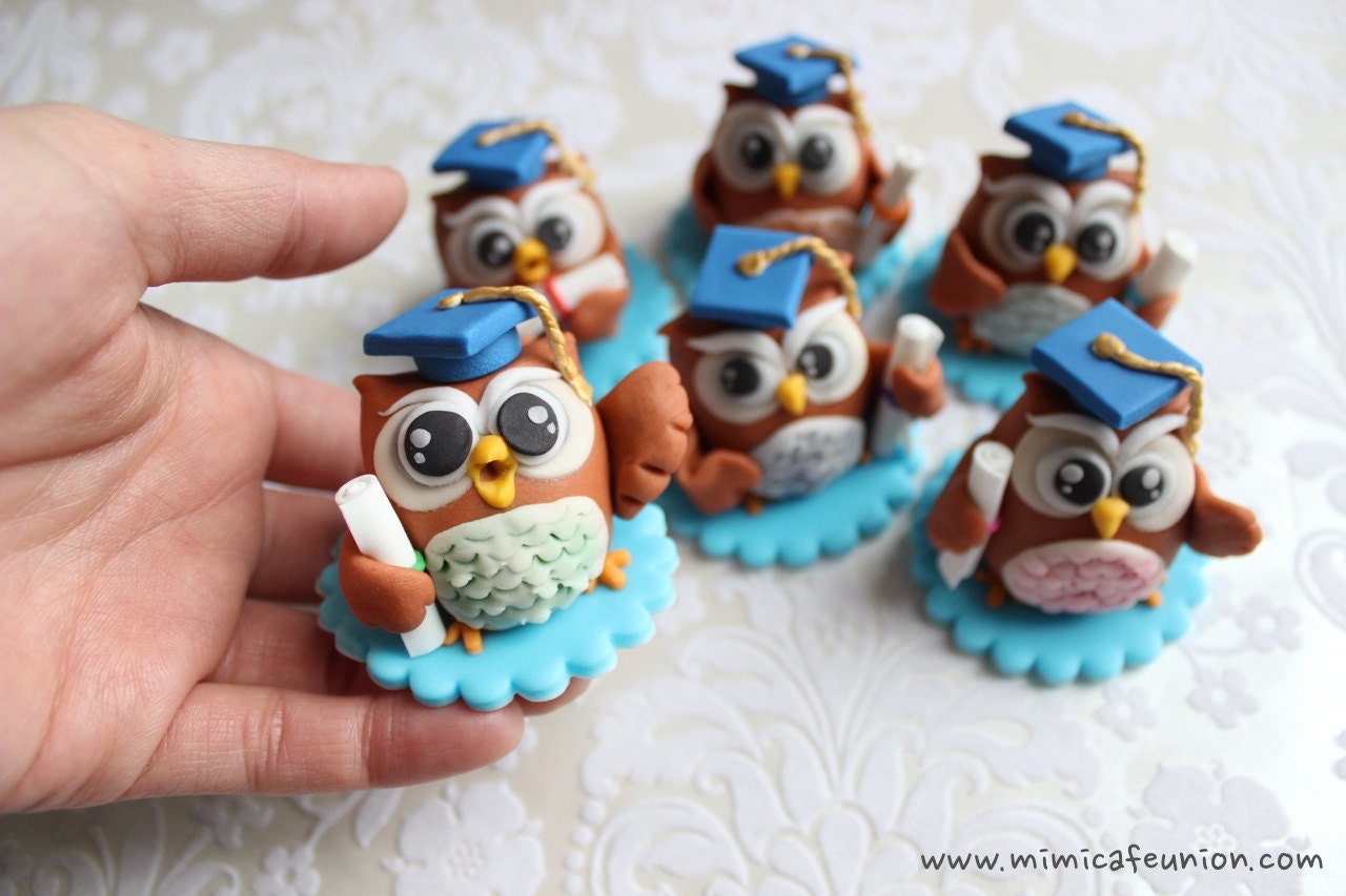 Owl Graduation Theme Cupcake Toppers ( 6 Owls, 1 Message Plate)