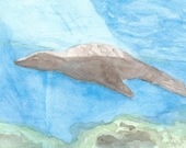 Swimming Sea Lion Original watercolor Painting 5x7