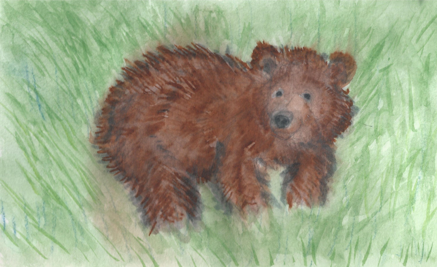 Ursa Bear Cub print