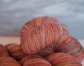 NEW Blooming Prairie - 80/20 First-String PLUS SW Merino Fingering Wt Yarn, 5113, Lot 2