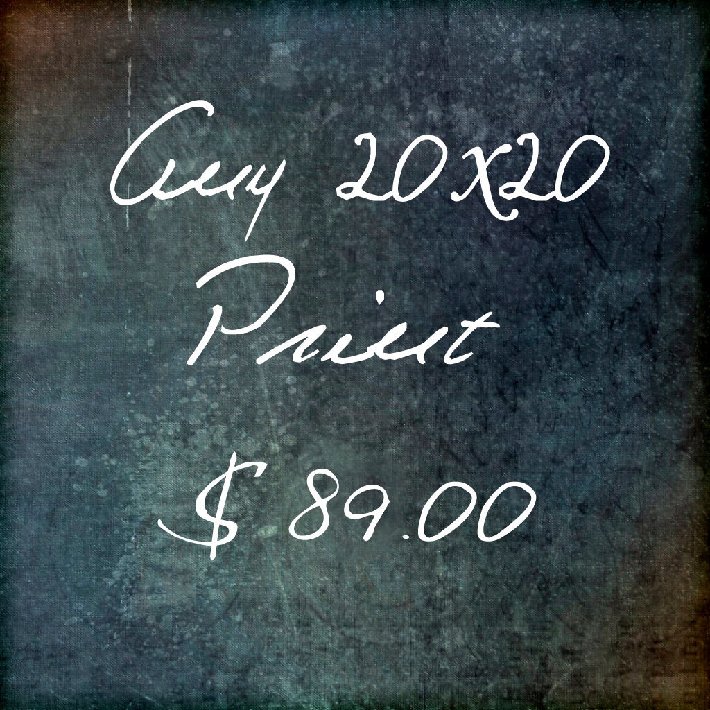 20x20 size fine art photography  print, photography       by cindy taylor