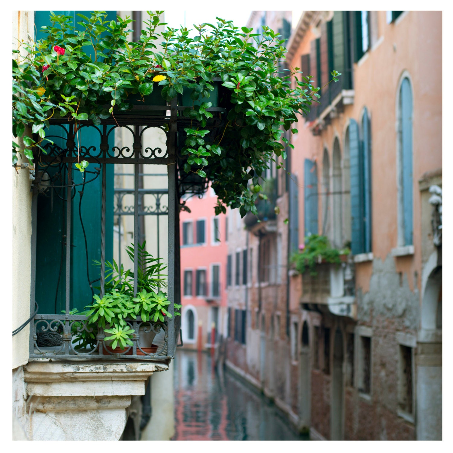 Fine Art Photography, Venice, Italy, Balcony, Pastels, Romance, Flowers, Canal, 12x12 print