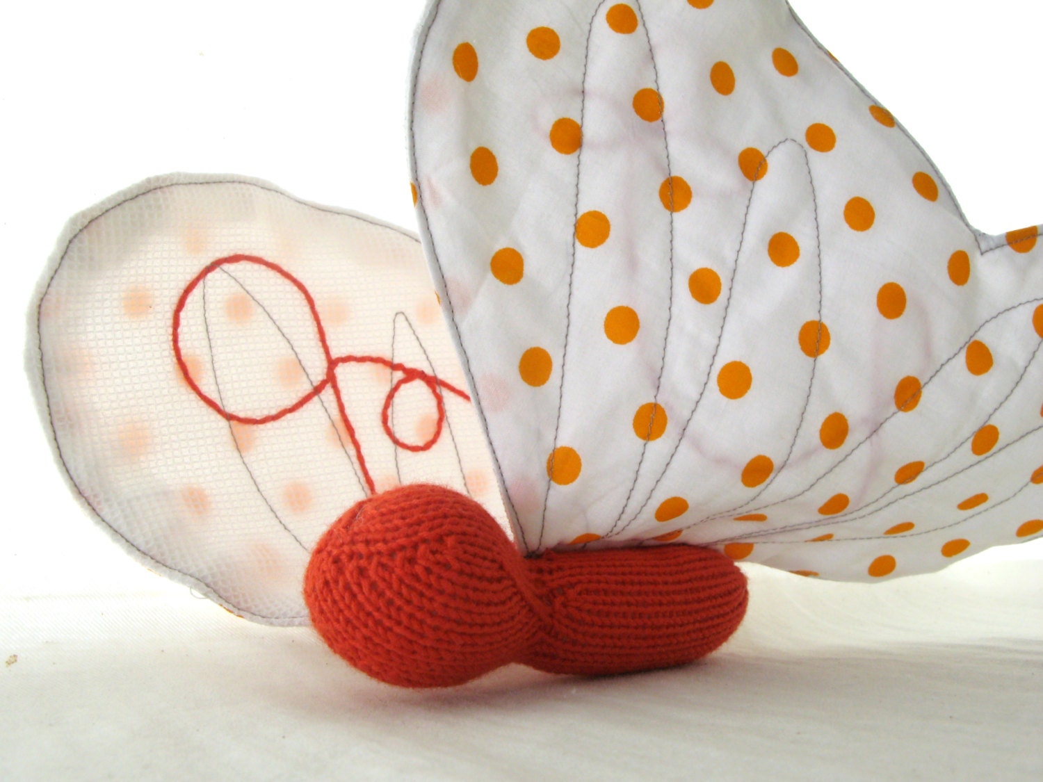 Baby Butterfly to cuddle -
