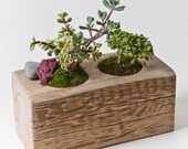 Medium re-BEAM Planter with Succulent Arrangement