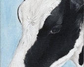 Mini Moo (no.6) Little oil painting on canvas