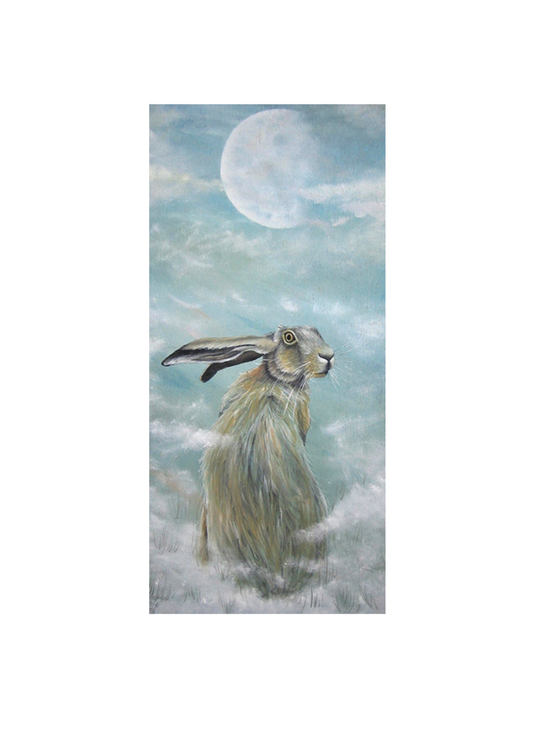 Full mist, print