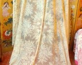 Antique English Victorian Christening Shawl or Wedding Veil Magnificent Lace