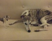 Needle Felted Dog /OOAK Collectible artist wool soft sculpture / Custom Miniature Sculpture of your dog - pet - animal /Handmade