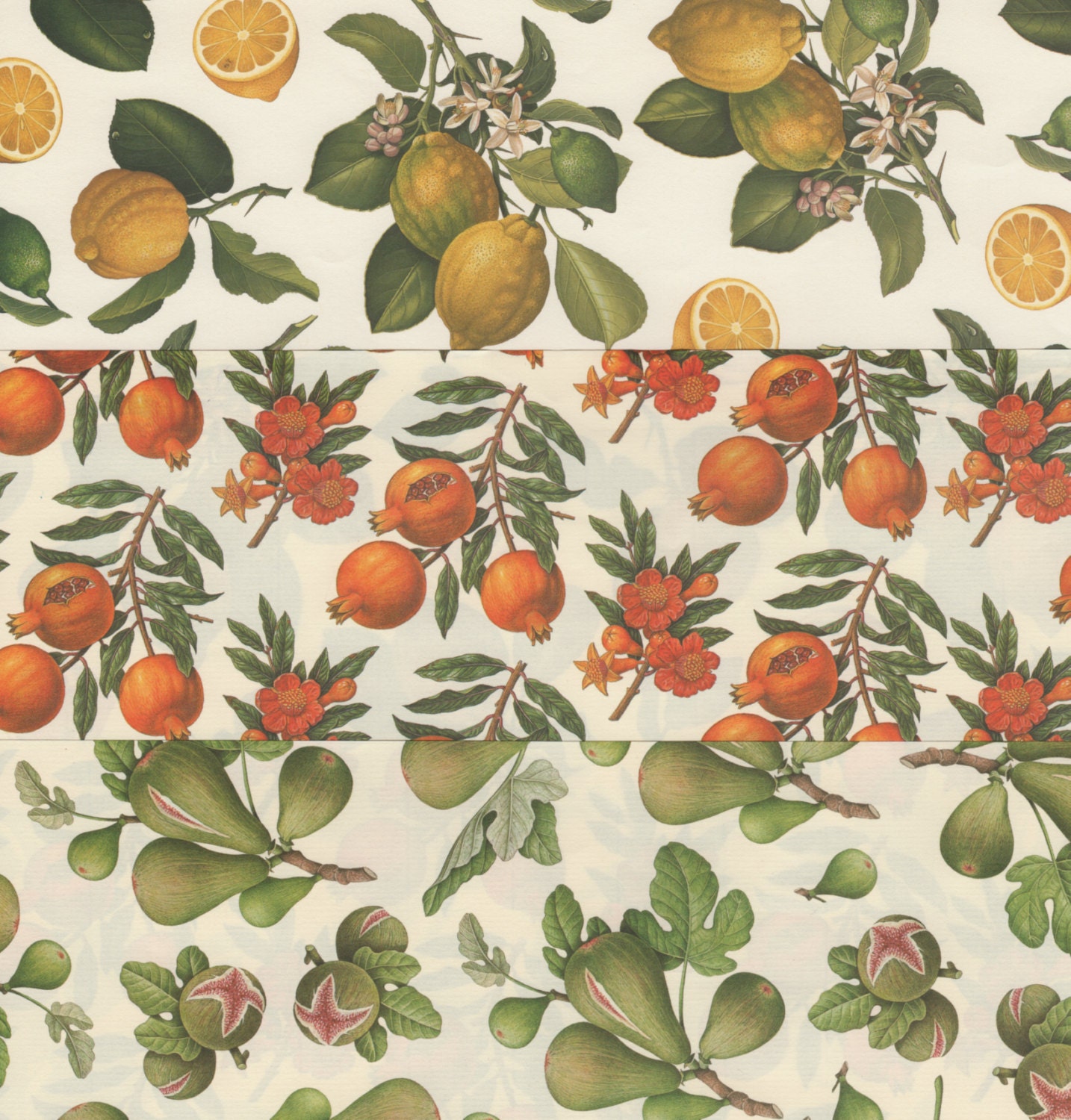12x12 Italian Decorative Papers Featuring Exotic Fruits for Bookbinding Scrapbooking Paper Arts Collage