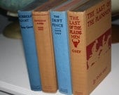 Zane Grey Books with Cream Tan Salmon Dust Jackets set of 4 Vintage Books Blue and Tan