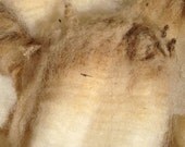 White East Friesian Wool Fleece 4oz Raw Fleece