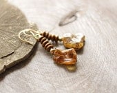 Amber Earrings - earthy brown, very lightweight earrings with natural genuine Baltic Amber and wood, brass earwires