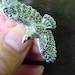 Marcasite and Garnet , Vintage estate 925 Sterling Bird Brooch, """"stunning""""