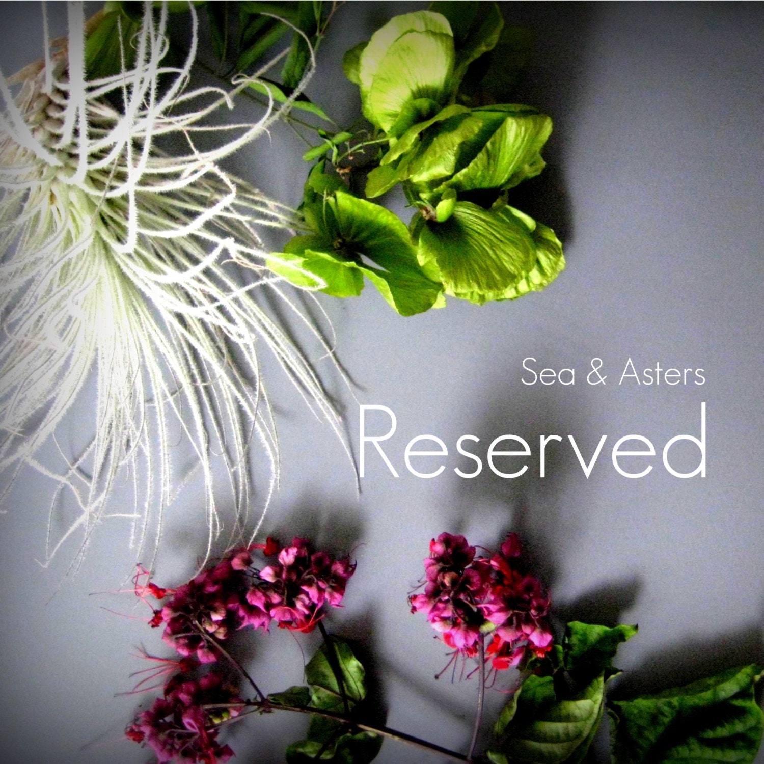 Reserved for Sharena