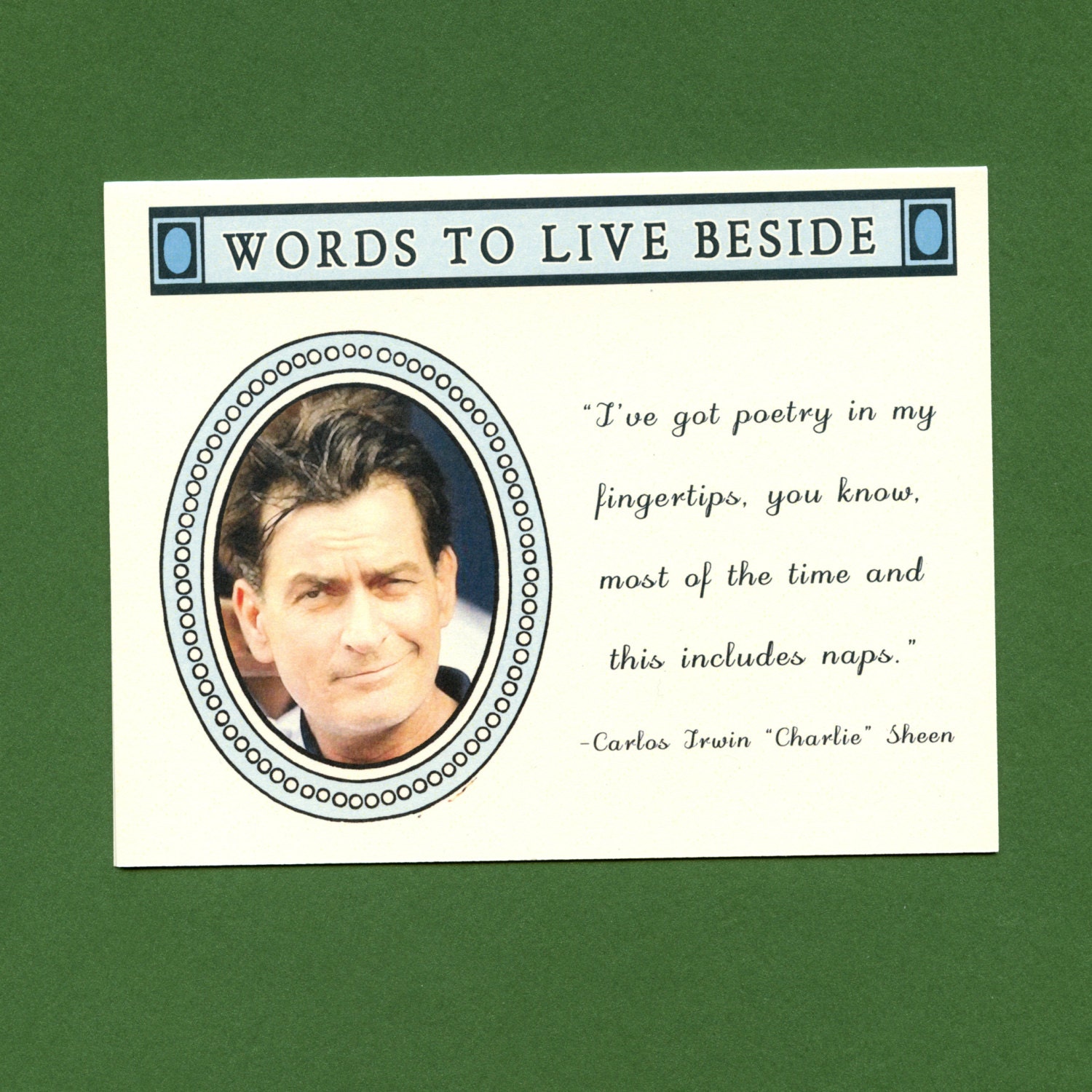 WISE Words From CHARLIE SHEEN - Funny Blank Card