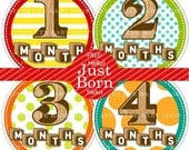 13 Monthly Onesie Stickers FREE Hello Just Born Sticker- WOOD Blocks and Numbers (Neutral Colors boy or girl- yellow.brown.green.red.orange)
