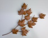 Copper Maple Branch 59:copper art,metal art,metal sculpture,home decor,wall art,wall decor,American made