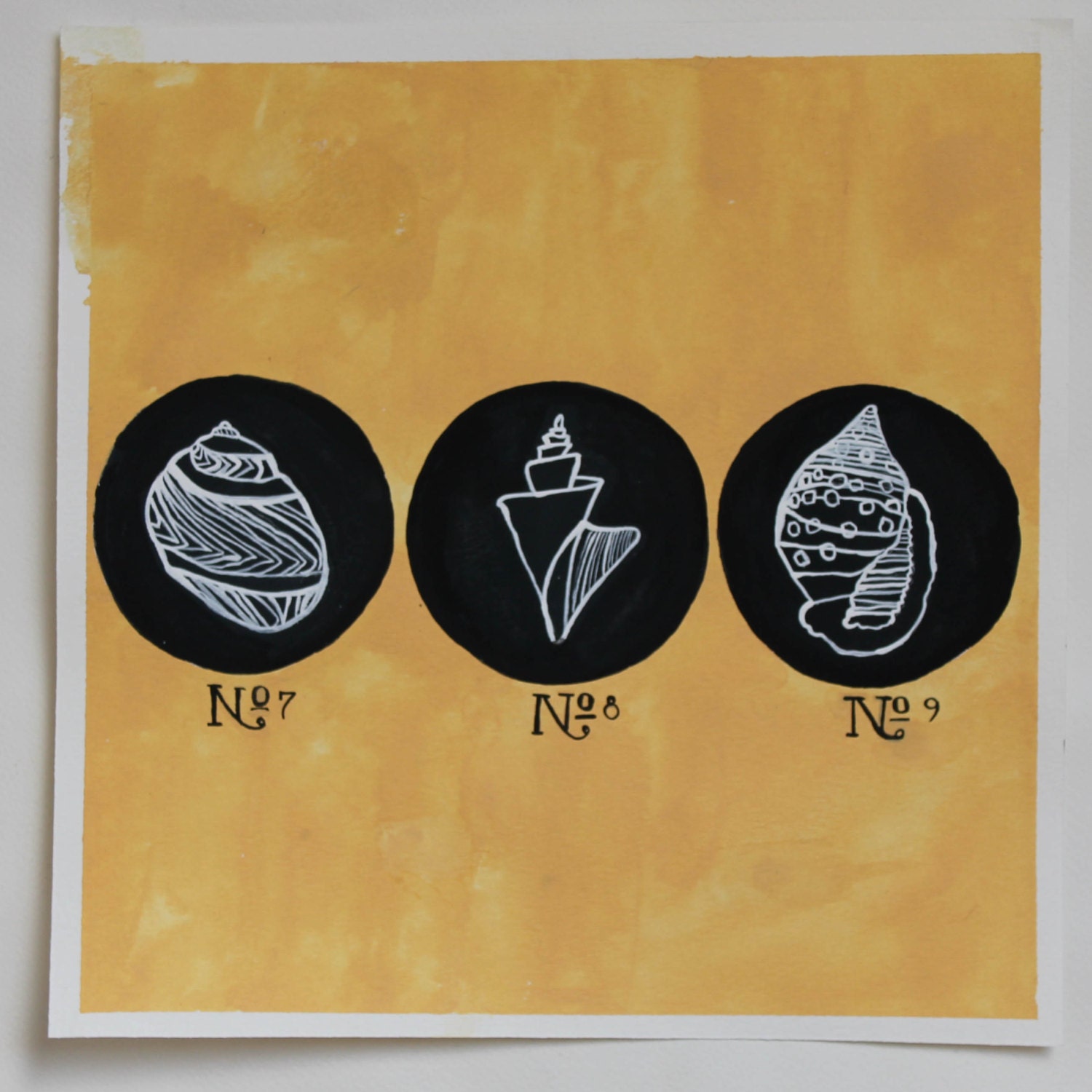 Vintage Seashell Specimens Original Gouache & Watercolor Art