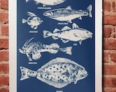 Salt Water Fish Print Navy Blue