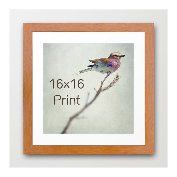 Any Photograph or Artwork as a 16"x16" Print.